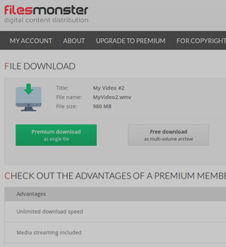 filesmonster premium downloader
